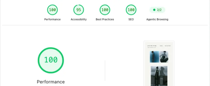 Aisling Styling Google PageSpeed score